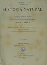 Historia natural: la creación