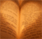 Fragment de la conferència "L'amor als llibres"