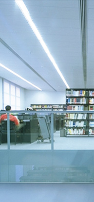 Memòria UPF