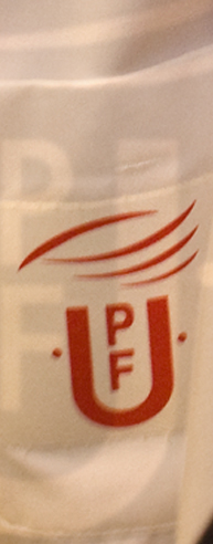 Memòria UPF