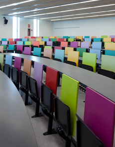 Memòria UPF