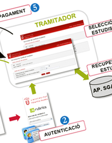 Memòria UPF