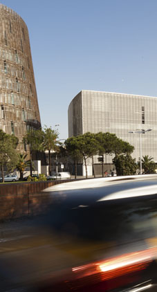 Memòria UPF