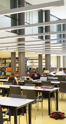 Memòria UPF