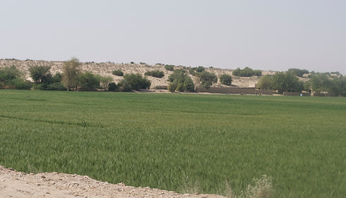 Fieldwork in Pakistan Feb 2018