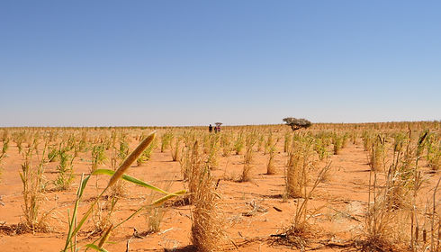 Fieldwork in Sudan